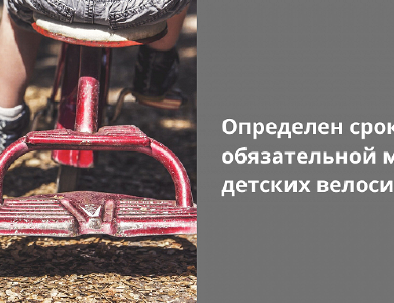 Определен срок введения обязательной маркировки детских велосипедов